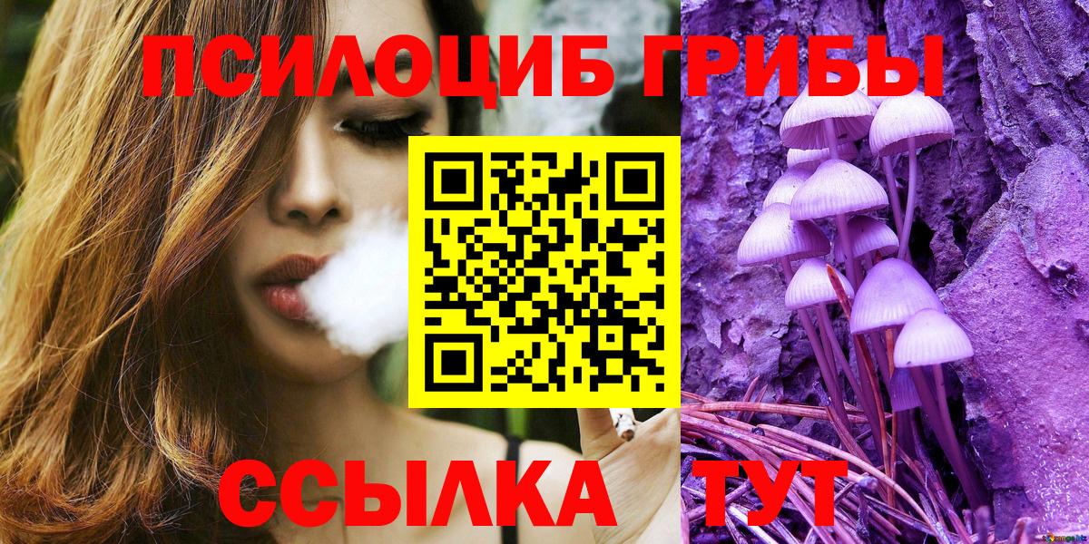 Галлюциногенные грибы Psilocybe Фрязино