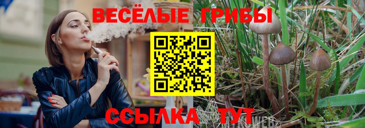 Псилоцибиновые грибы GOLDEN TEACHER  Вход с VPN  Фрязино 